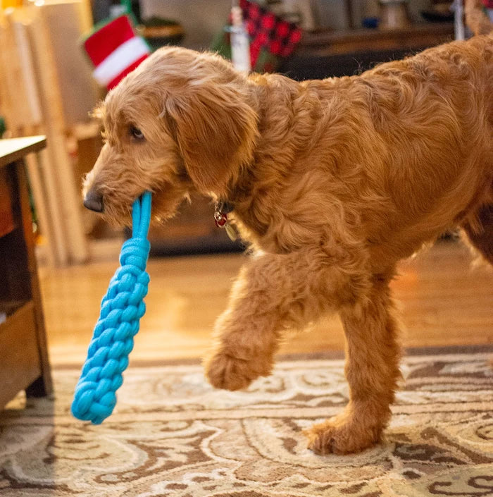 ThoozyPet Knotted Stick Rope Dog Toy with Handle Blue 11"