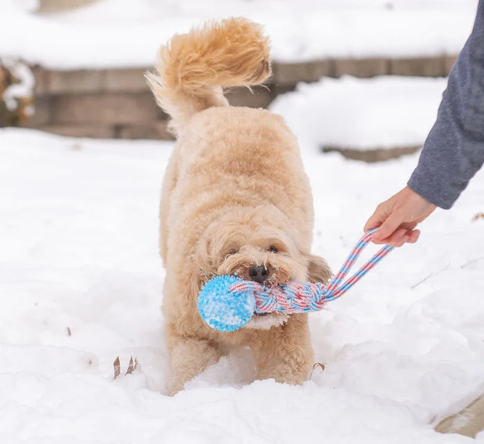 ThoozyPet Knotted Tug Rope Dog Toy with TPR Spike Ball Orange / Teal 16"