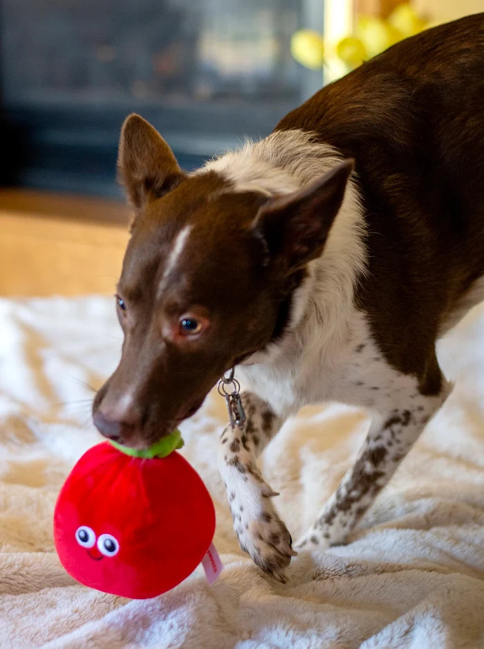ThoozyPet Tomato Plush Dog Toy 5.5"