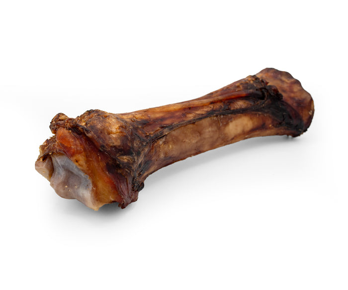 ThoozyPet USA-Sourced Foreshank Bone Dog Chews 10-12" 12ct