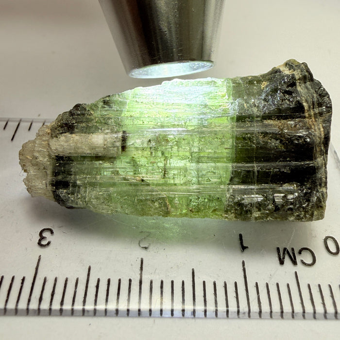 Tourmaline Crystal, 39.98ct, Mwajanga, Tanzania. Untreated Unheated