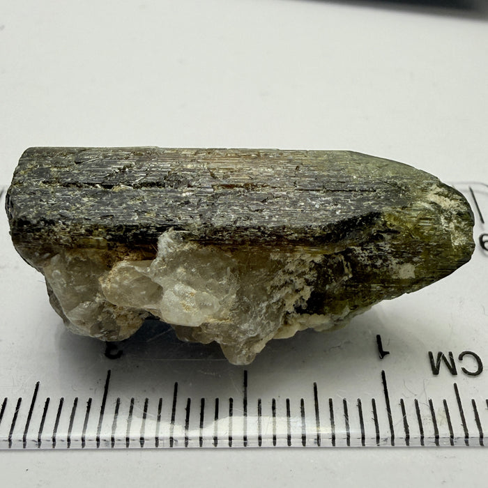 Tourmaline Crystal, 41.40ct, Mwajanga, Tanzania. Untreated Unheated