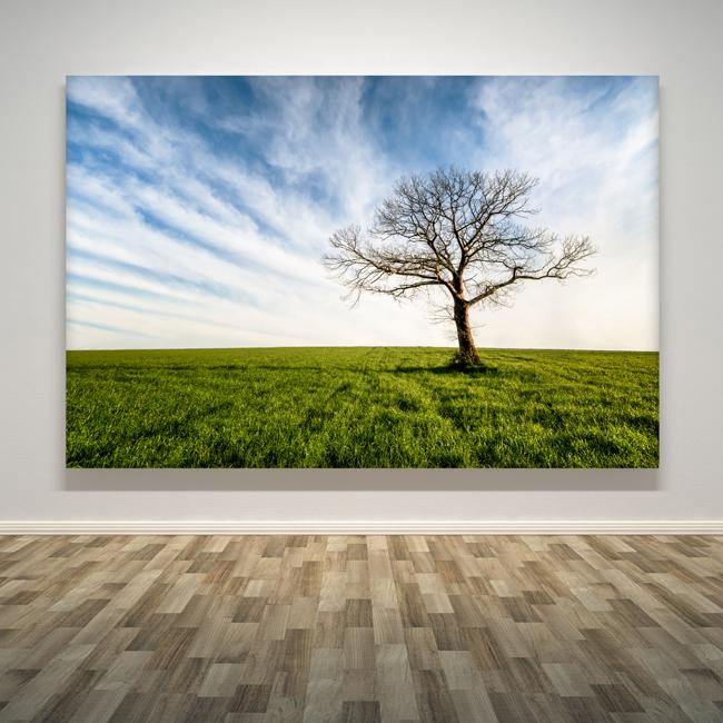 "Tree Alone"