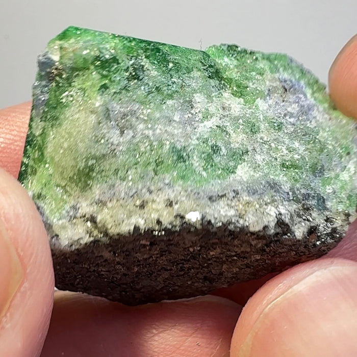 Tsavorite Garnet Crystal, with Tanzanite, 119.58ct, Merelani, Tanzania, Untreated Unheated