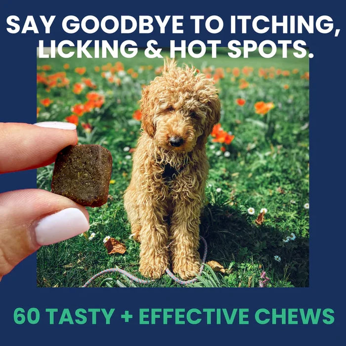 Under the Weather Allergy & Itch Soft Chew 60ct