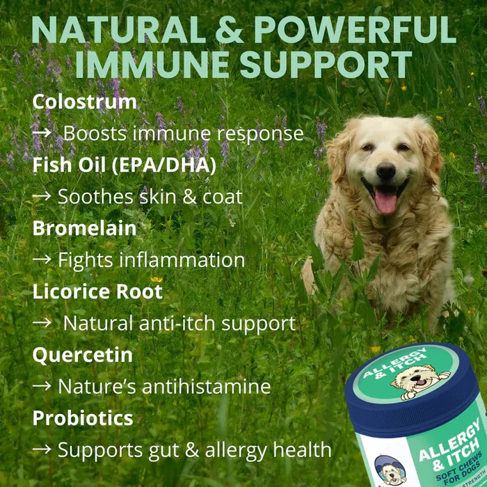 Under the Weather Allergy & Itch Soft Chew 60ct