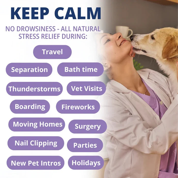 Under the Weather Calming Soft Chew 60ct