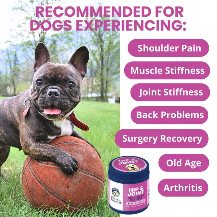 Under the Weather Hip & Joint Soft Chew 60ct