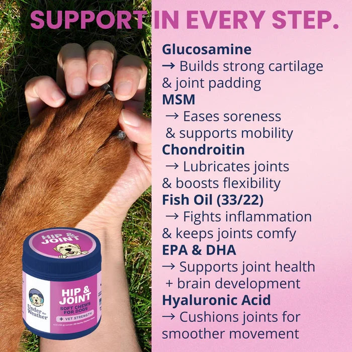 Under the Weather Hip & Joint Soft Chew 60ct