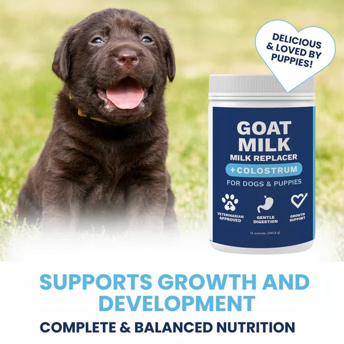 Under the Weather Milk Replacer w/Colostrum & Goat - Puppy