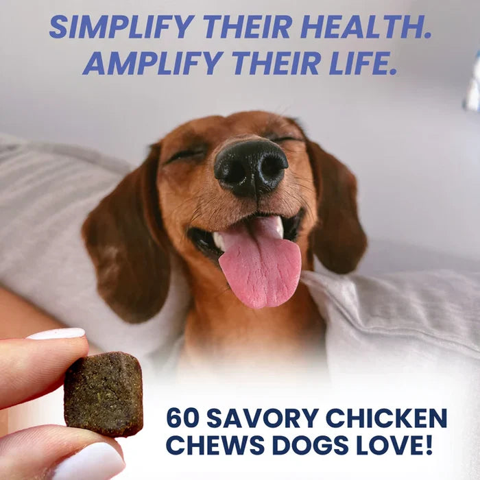 Under the Weather Multivitamin Soft Chew 60ct