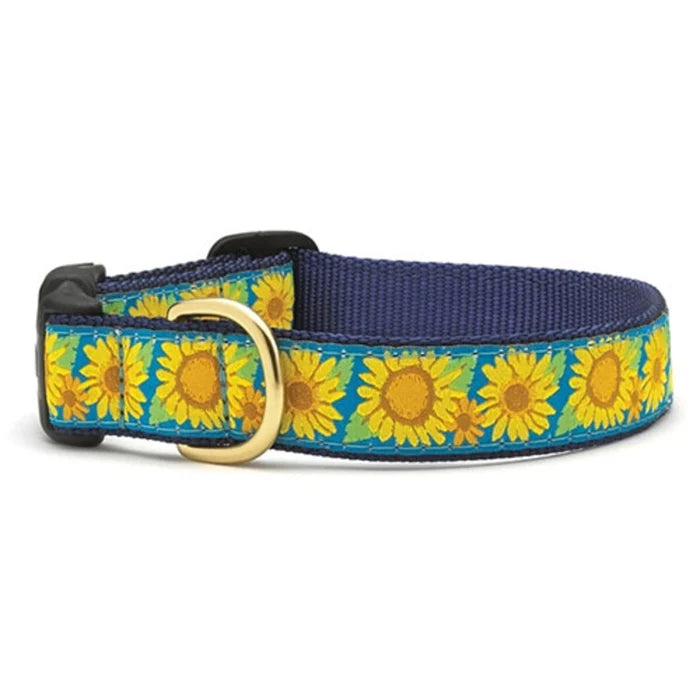 Up Country Bright Sunflower Collar SM Narrow