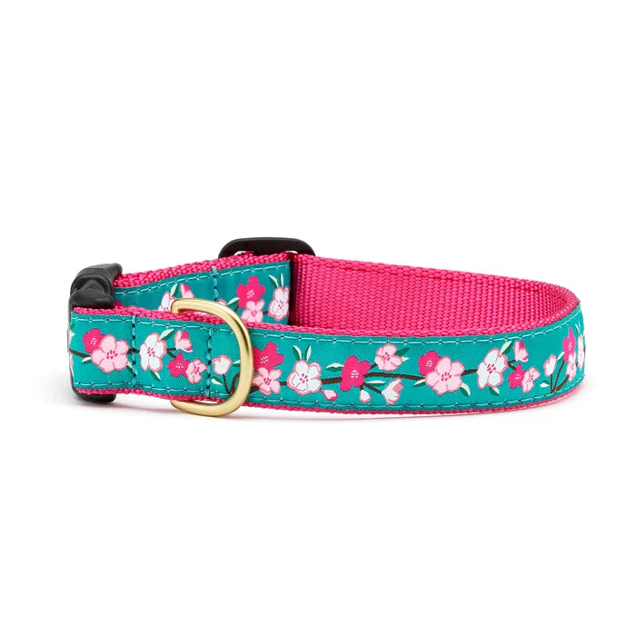 Up Country Cherry Blossoms Collar XS Narrow