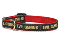 Up Country Evil Genius Cat Collar