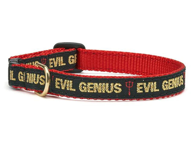 Up Country Evil Genius Cat Collar