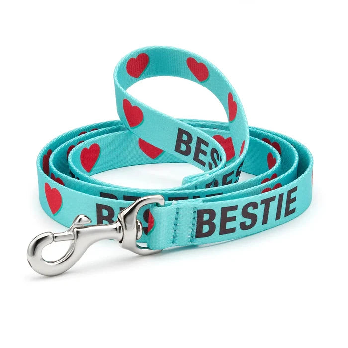 Up Country Sport Bestie Lead 5' Narrow
