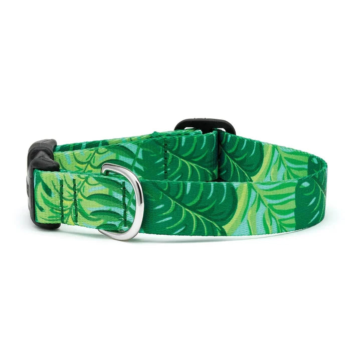 Up Country Sport Palms Collar XL Wide