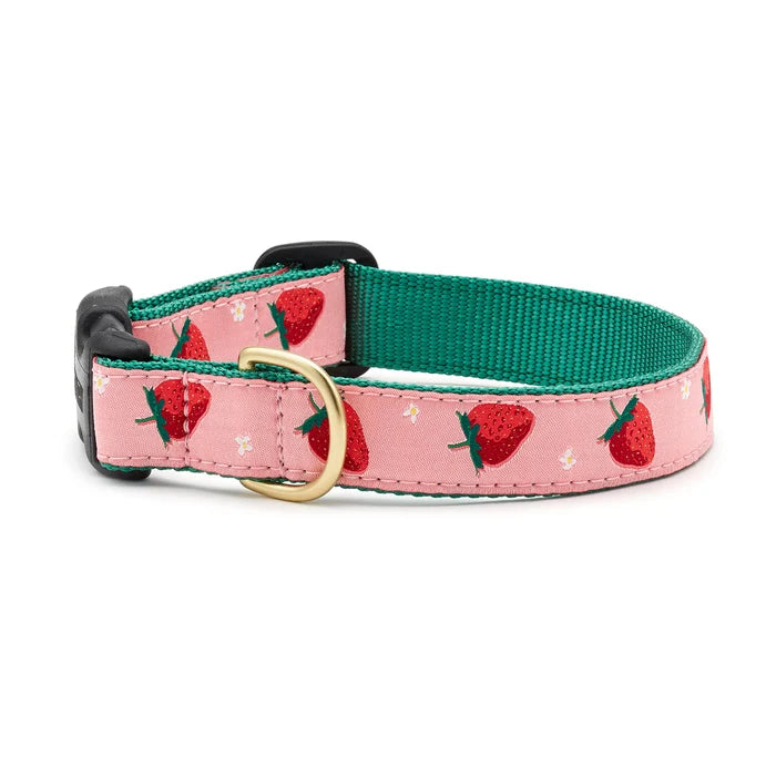 Up Country Strawberry Fields Collar XL Wide