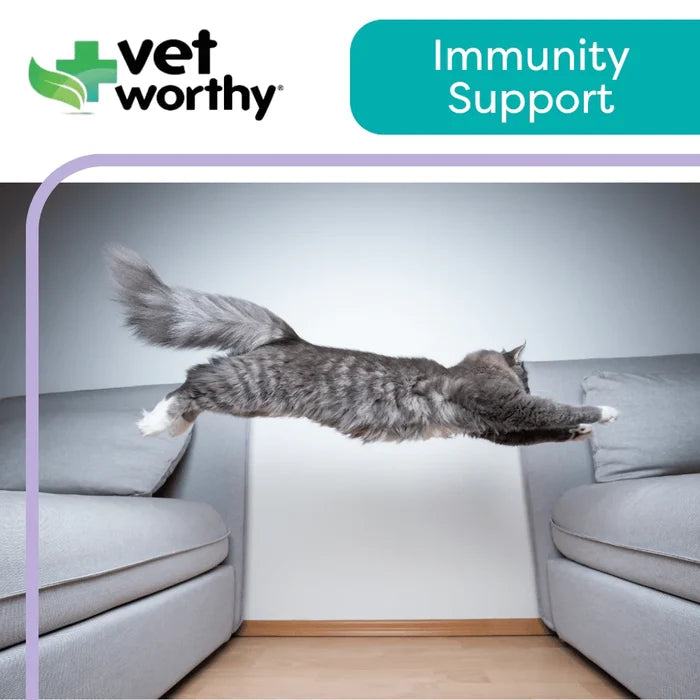 Vet Worthy - 3 oz Lysine Paw Gel Feline