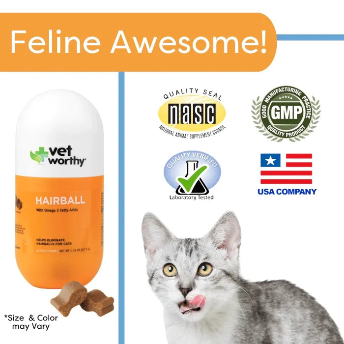 Vet Worthy Hairball Support w/ Pumpkin Soft Chews Feline 60ct