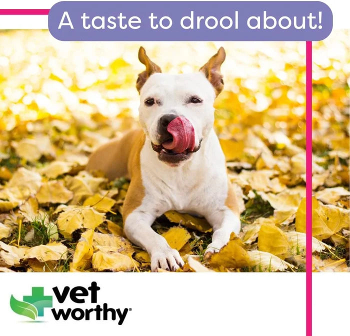 Vet Worthy Stop Stool Ingestion Soft Chews 60ct