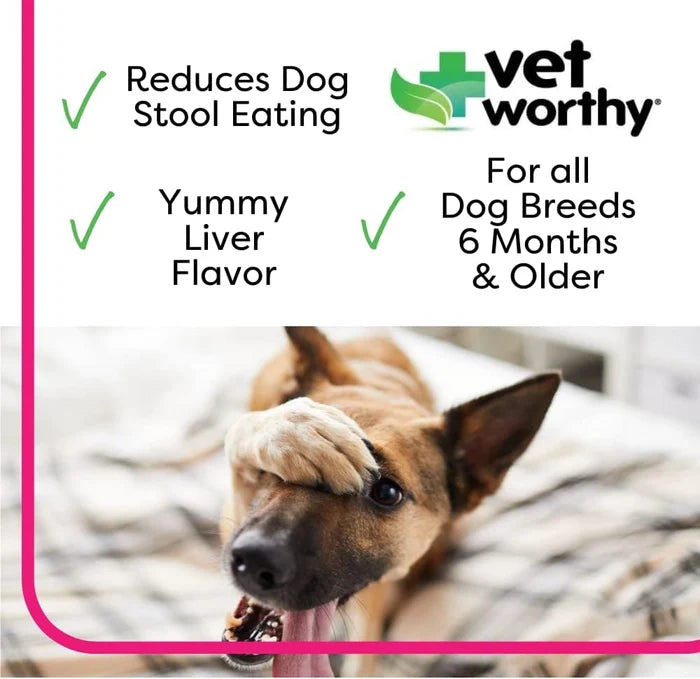 Vet Worthy Stop Stool Ingestion Soft Chews 60ct
