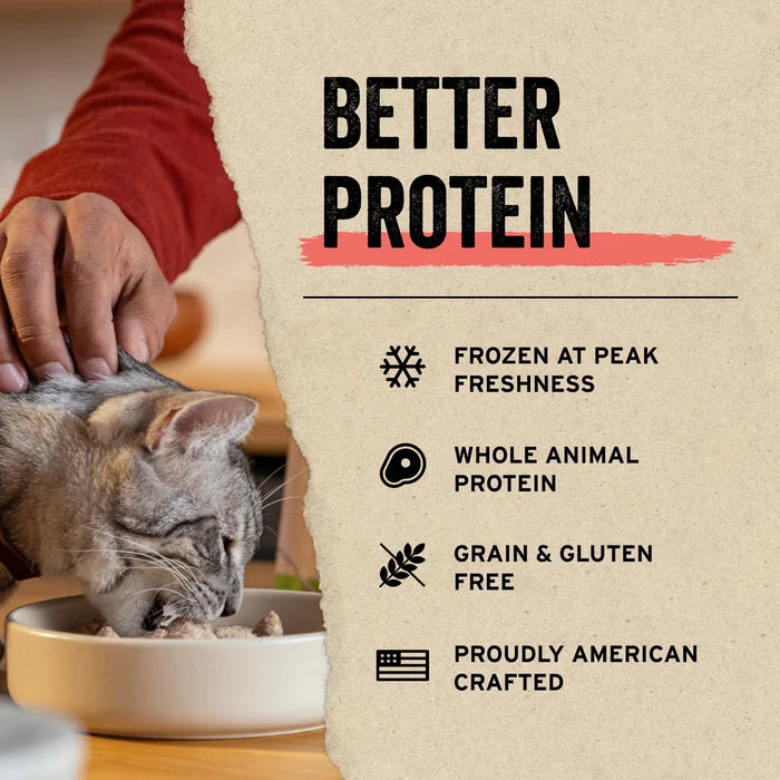 Vital Essentials® Freeze-Dried Raw Minnows Cat Treats, 1.0 oz