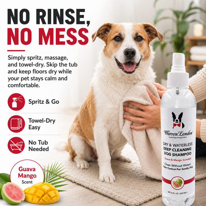 Warren London Dry & Waterless Shampoo Guava & Mango 8 oz