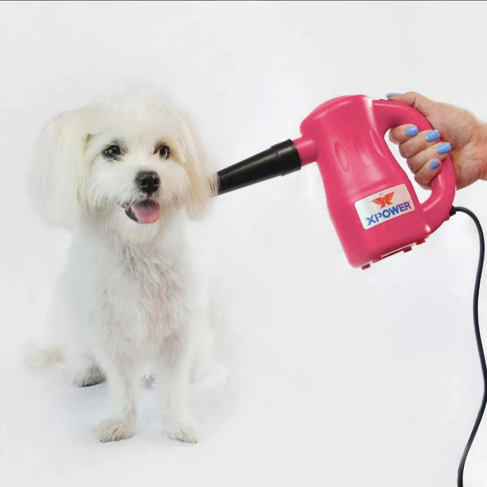 XPOWER B-53 Airrow Pro Multipurpose Home Pet Dryer, Duster, Air Pump, Blower - Pink