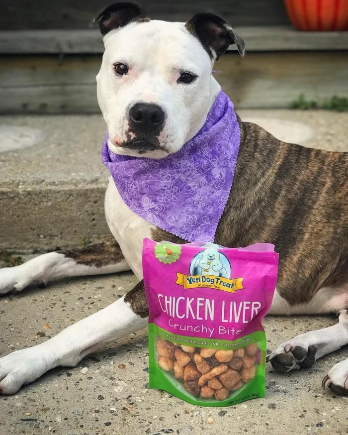 Yeti Dog Chew Chicken Liver Flavored Crunchy Bites 4oz Bag